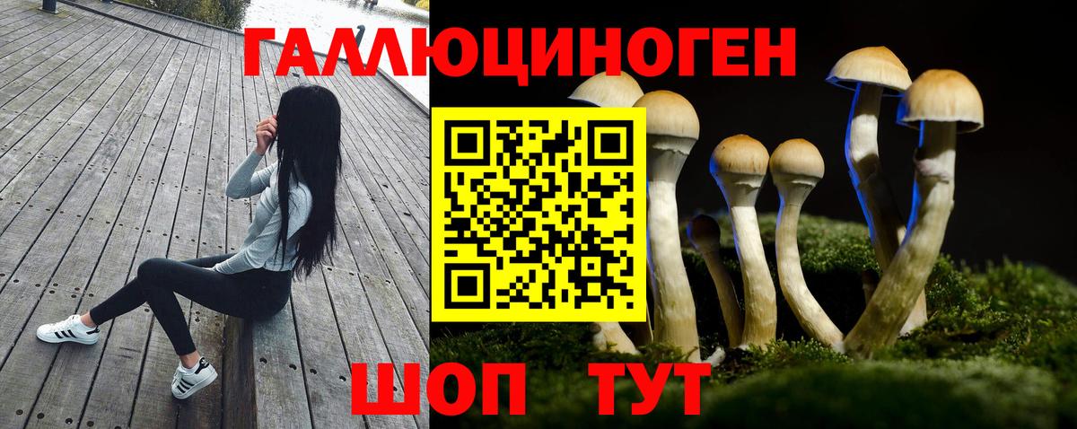 Псилоцибиновые грибы Psilocybe  Псилоцибиновые грибы прущие грибы  Вход с VPN  Химки 